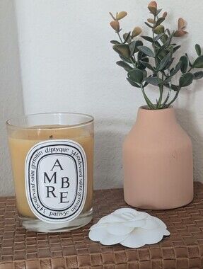 Diptyque Amber 190g Candle